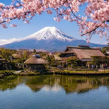 eSIm DATA travel for Japan. A scenic landscape print of Mount Fuji with pink cherry blossoms in the foreground, traditional Japanese thatched-roof buildings by a pond, and blue sky.
