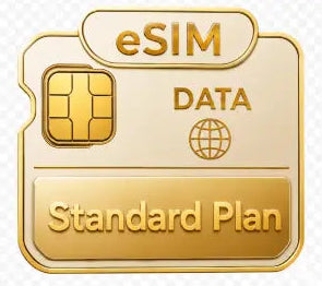 Gold eSIM card with 'eSIM DATA Standard Plan' text on a white background